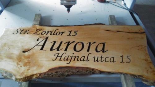 Фотографии гостевого дома 
            Aurora vendégház