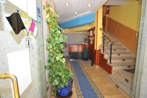 Фотография гостевого дома Trípolis Toledo