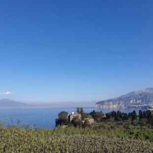 Фотография мини отеля Casa Athena