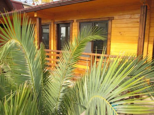 Фотография гостевого дома У Олимпийского парка