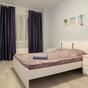 Фотография квартиры Апартаменты Династия Петра Подзолкова 3И