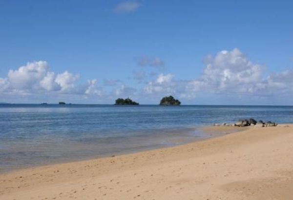 Фотография гостиницы Coconut Grove Beachfront Cottages