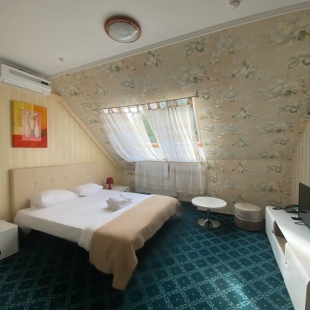 Фотография номера гостиницы Отель Ренессанс