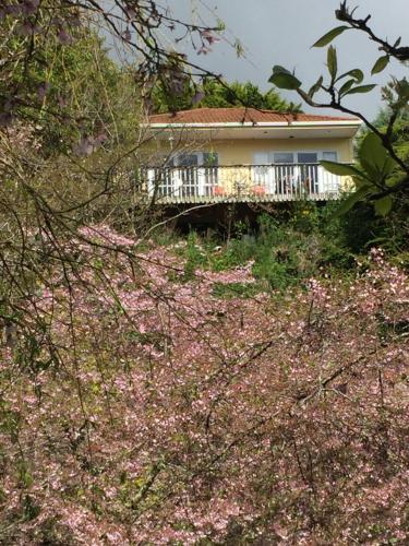 Фотография гостевого дома Aston Norwood Chalets