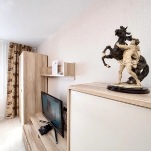 Фотография квартиры Apartment Four Seasons md. Soviet 1/1