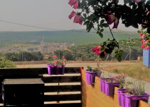 Фотография гостевого дома Si-Har Chalets