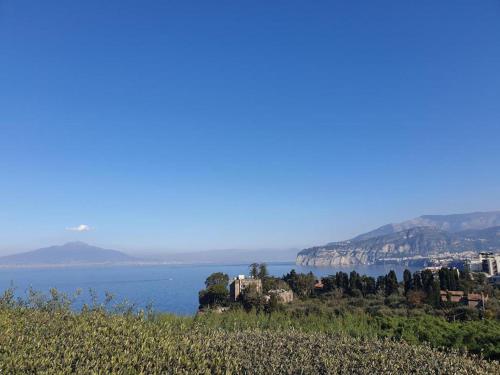 Фотография мини отеля Casa Athena