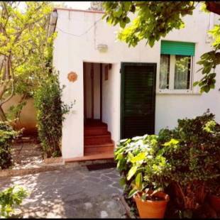 Фотографии гостевого дома
Cavo Beach 4