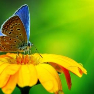 Фотография хостела Киев