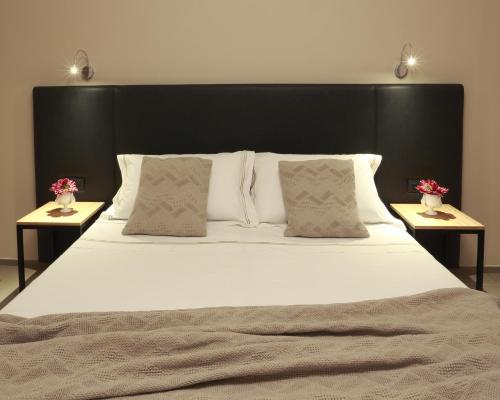 Фотография гостиницы Hotel Aloisi