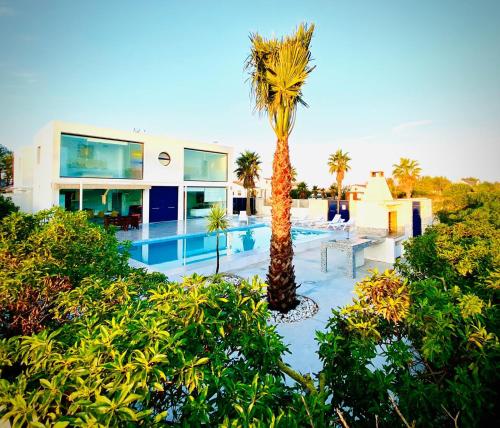 Фотография гостевого дома Villa Aurora