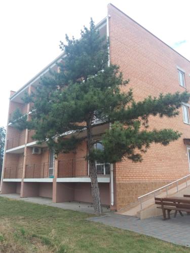 Фотография гостиницы Пальмира