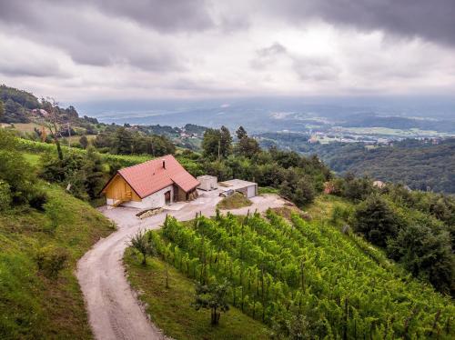 Фотография гостевого дома Vineyard cottage Škatlar 3