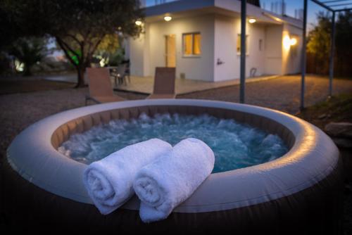 Фотография гостевого дома Evgenias Olive House