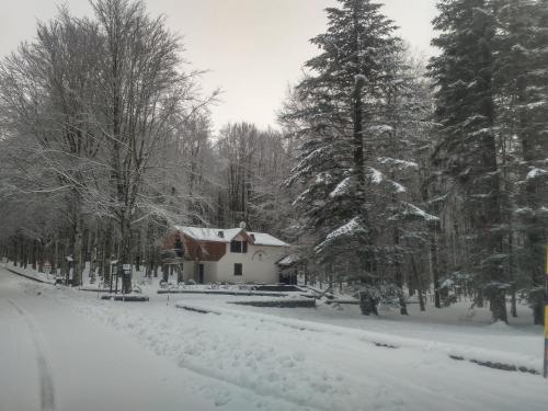 Фотография гостевого дома Chalet Il Cristallo-Monte Amiata