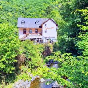 Фотографии гостевого дома
Hotel Elfenmühle