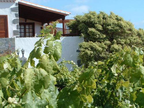 Фотография гостевого дома Casa las Las Viñas