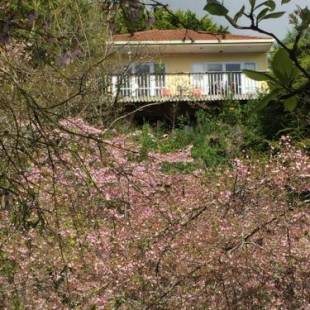 Фотографии гостевого дома
Aston Norwood Chalets