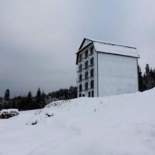 Фотография гостиницы Forrest