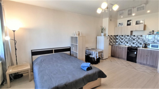 Фотографии квартиры
Апартаменты Студия в Центре Города