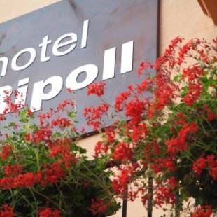 Фотографии гостиницы 
            Hotel Ripoll