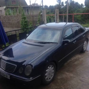 Фотография гостевого дома Olesya Guesthouse