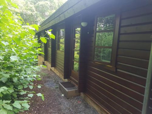 Фотография гостевого дома Bungalow; Haus 111 Ferienpark Twistesee, Bad Arolsen