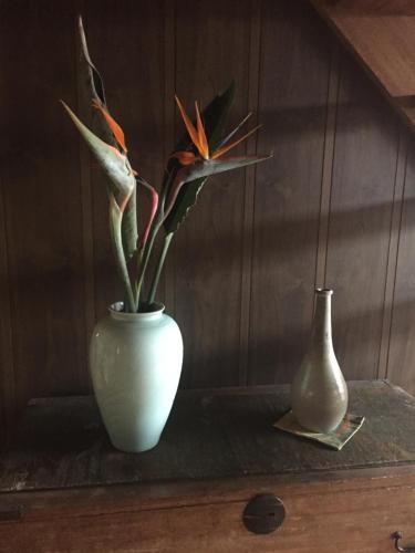 Фотография мини отеля Guest House Mitsuka