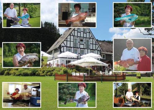 Фотография гостиницы Forellenhof