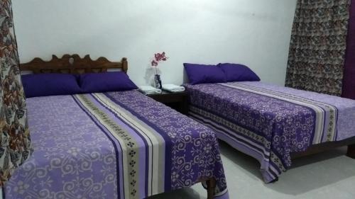 Фотография апарт отеля Zayali - Guest House Bacalar