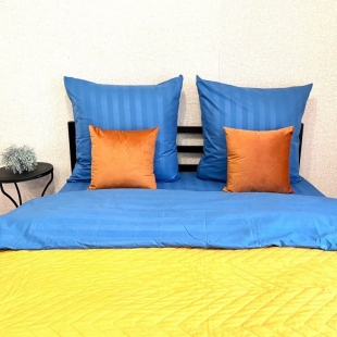 Фотография квартиры Апартаменты Александра Печерского 3 ЖК Суворовский