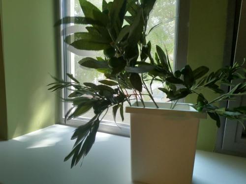 Фотографии гостиницы
Oliva