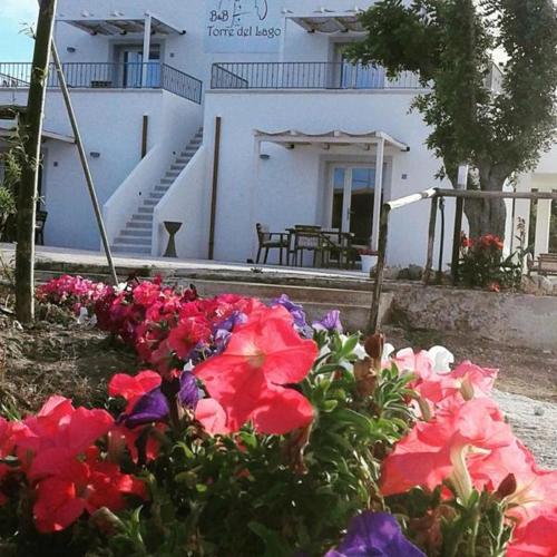 Фотография мини отеля Torre del Lago