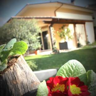 Фотографии мини отеля
B&B L'Ulivo