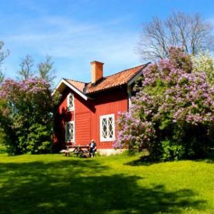 Фотографии хостела
Notholmen, Tyresö