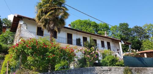 Фотография гостевого дома La Palma