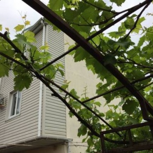 Фотография гостевого дома Гоголя, 179