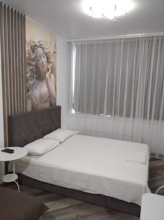 Фотография квартиры Апартаменты Apartanik Малышева 42 а-312