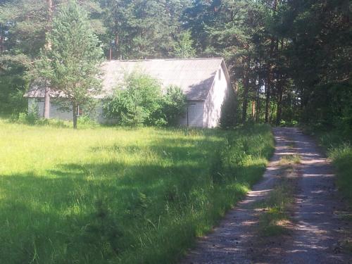 Фотография гостевого дома Сосны