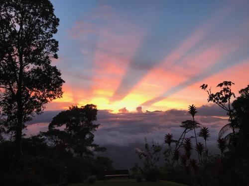 Фотография мини отеля The Lodge at Reventazon River Mountain Ranch