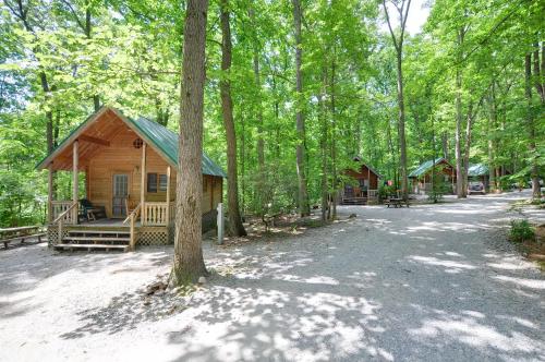 Фотография базы отдыха Spring Gulch Chalet 12