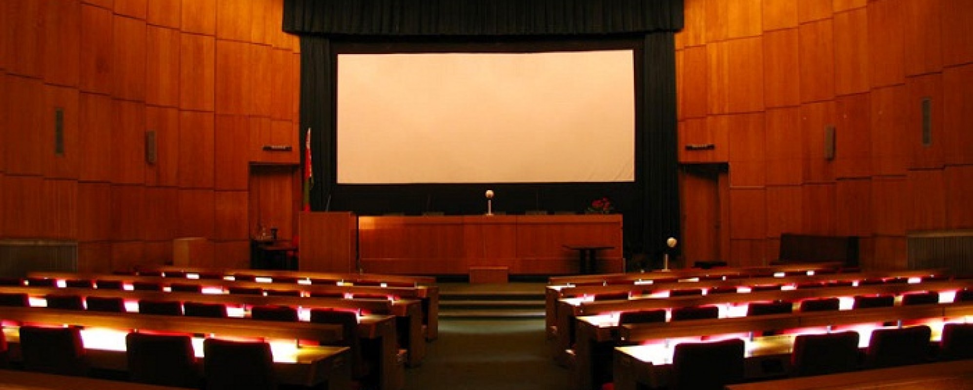 Фотографии конференц-зала Арена