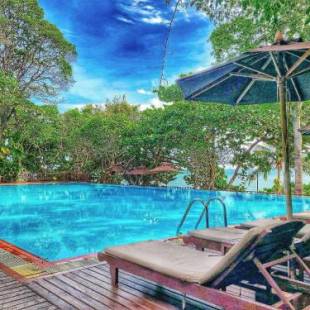 Фотографии гостиницы
Birds and Bees Resort