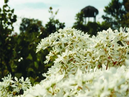 Фотографии мини отеля
Pousada Refúgio da Serra