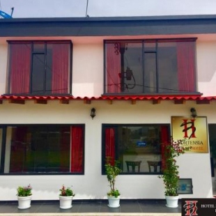 Фотография гостиницы Hotel Hortensia Real