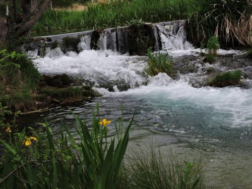 Фотография гостевого дома Royuela Hostal