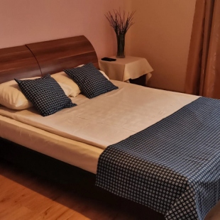 Фотография квартиры Квартира со Скрипкой