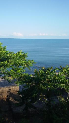 Фотографии гостевого дома
Ninoshvili 26