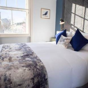 Фотографии гостиницы 
            Blackbird