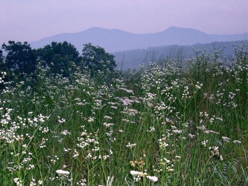 Фотография гостевого дома South River Highlands Country Retreat